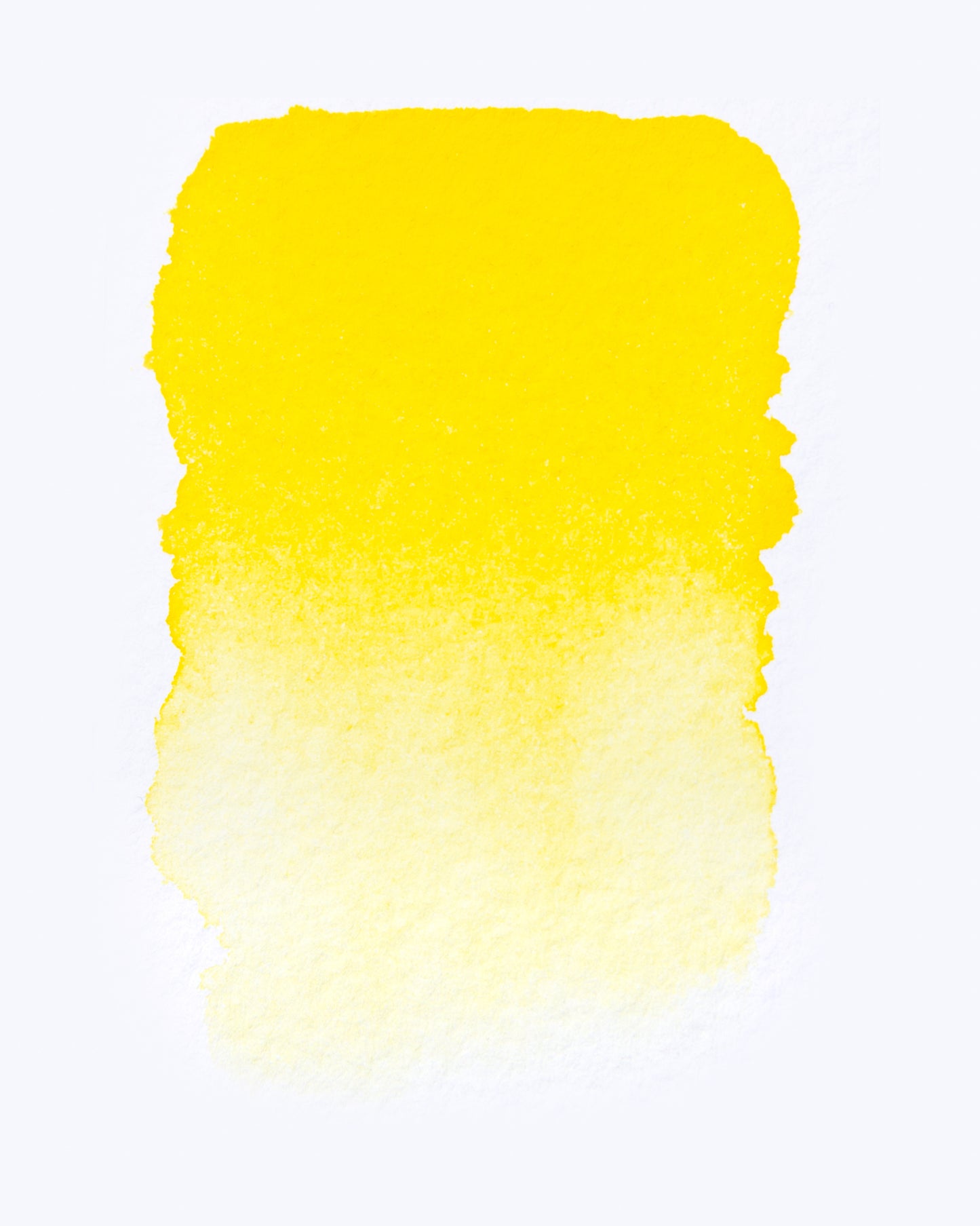 Cadmium Yellow Medium