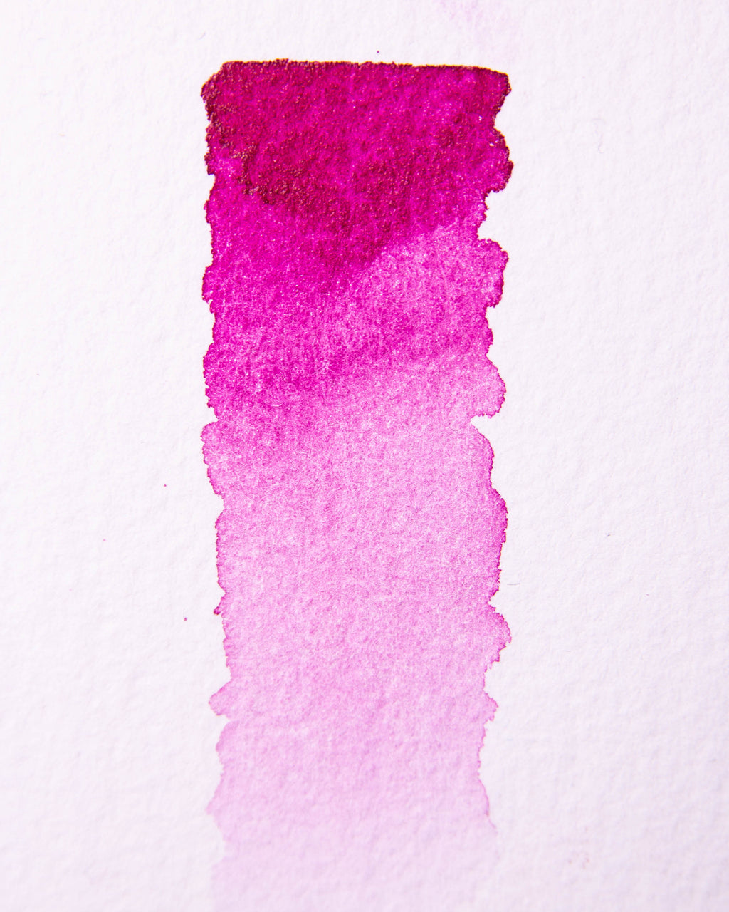 Sample Card - Primaries
